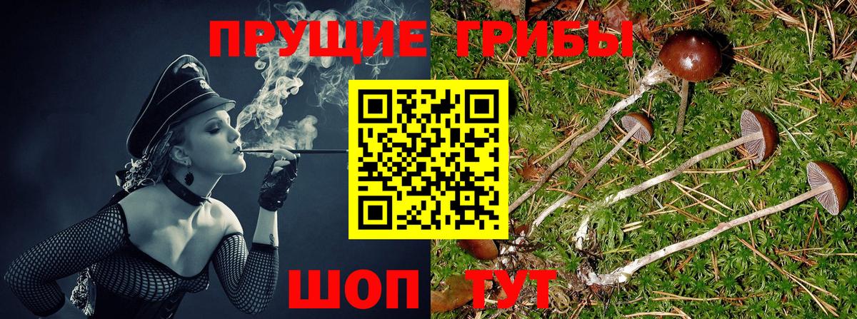 Салехард  Галлюциногенные грибы прущие грибы  Вход с VPN  Галлюциногенные грибы мицелий 
